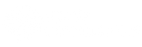 Bijoux Coquillages
