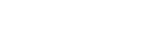 Bijoux Coquillages