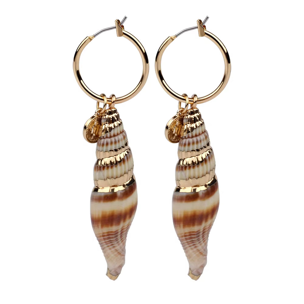 Boucle d’Oreille Coquillage Chic en Acier Inoxydable sur fond blanc