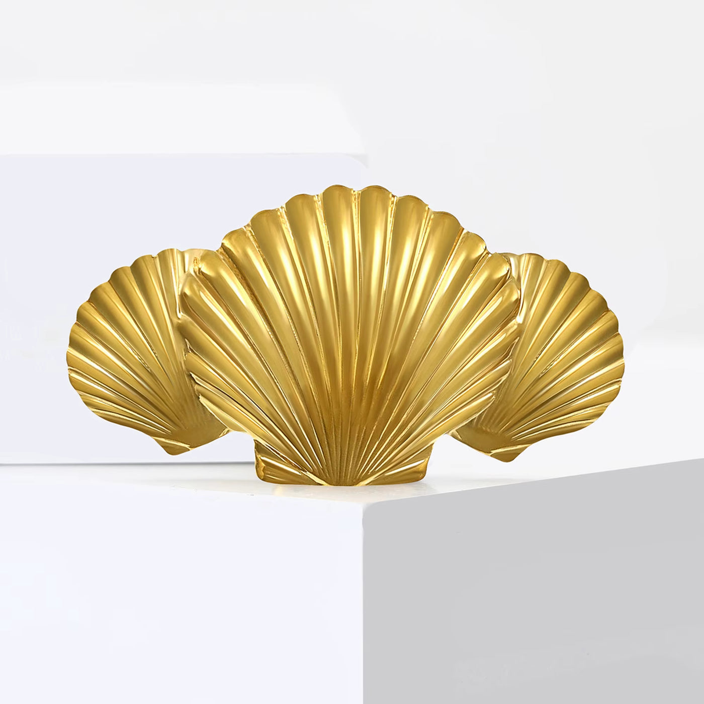 Broche Coquillage en Acier Inoxydable sur fond blanc