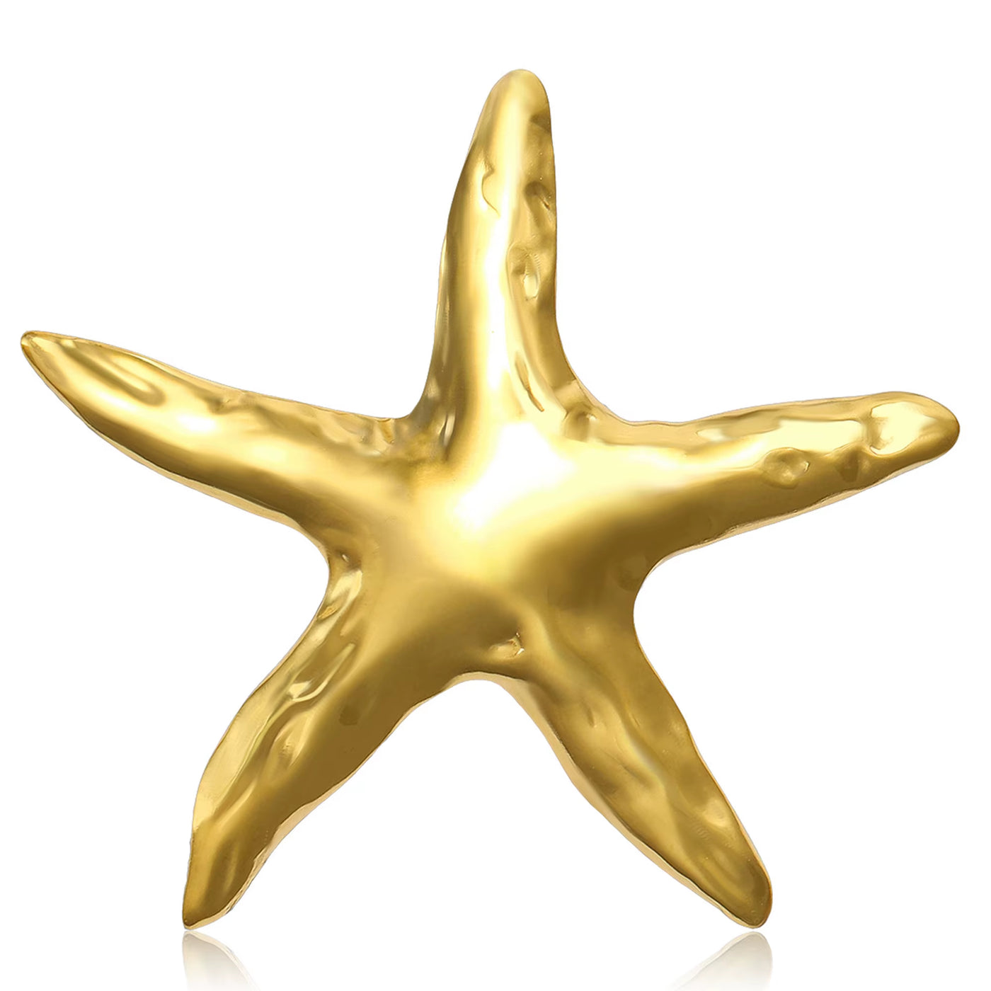 Broche Coquillage Design Etoile de Mer sur fond blanc