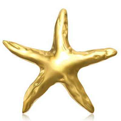 Broche Coquillage Design Etoile de Mer sur fond blanc
