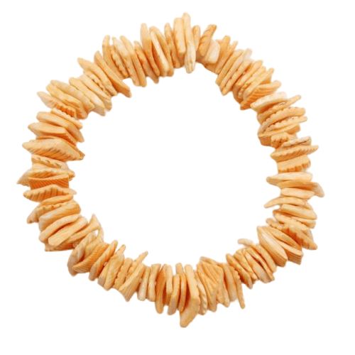 Bracelet Coquillage Île de la Réunion artisanat coquillages île de la réunion